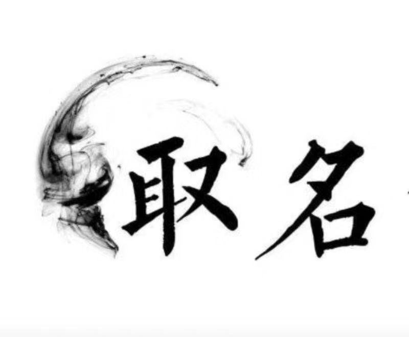  如皋宝宝取名 大师一对一人工起名